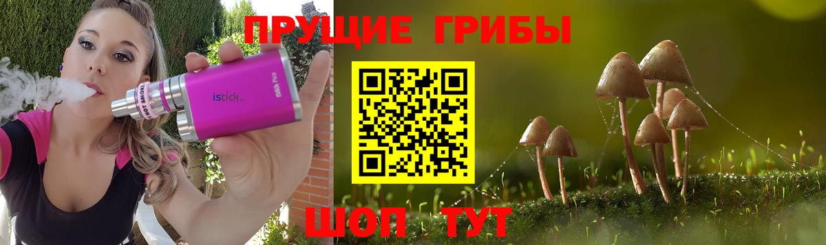 Псилоцибиновые грибы Psilocybe Александров